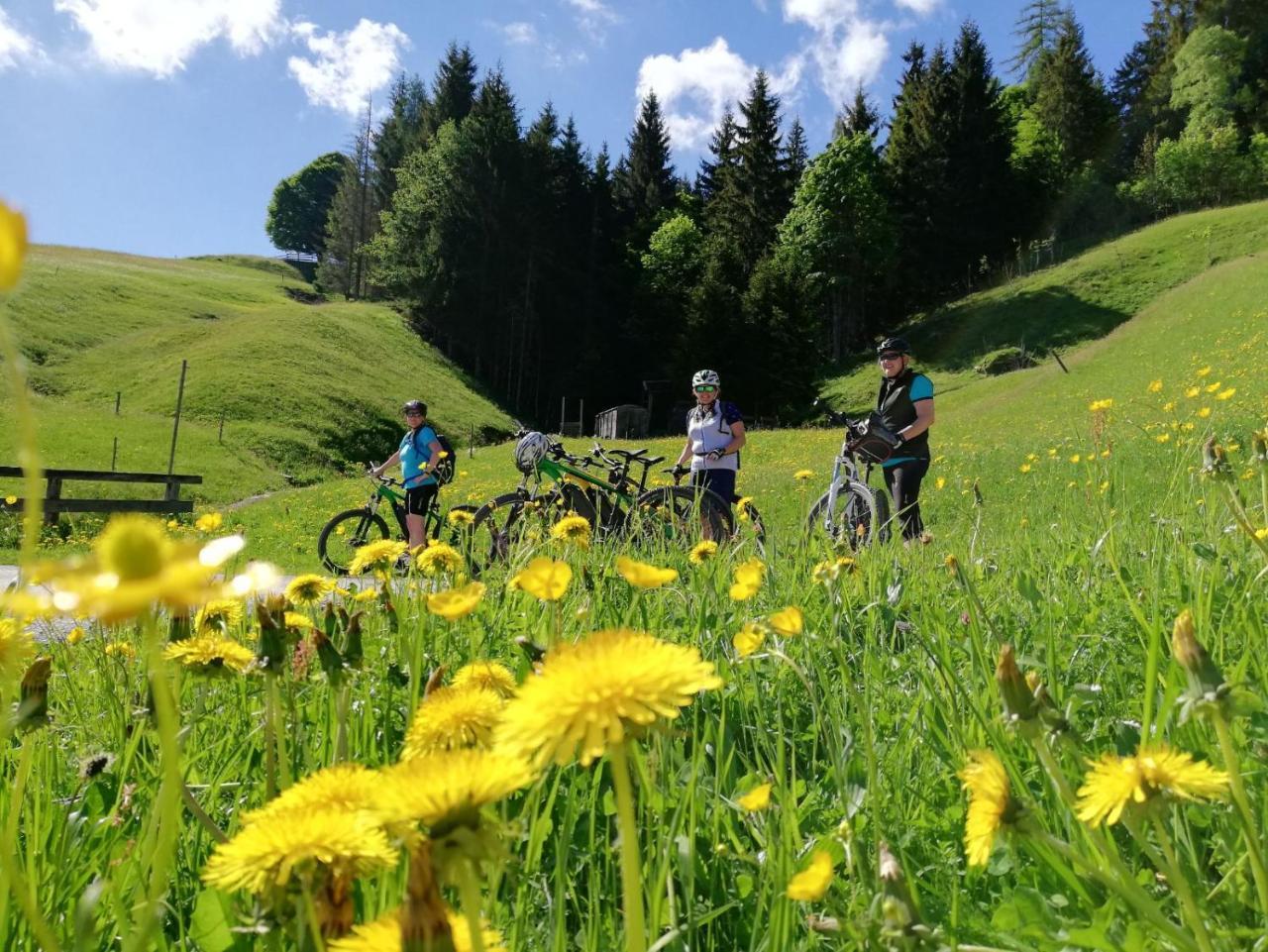 Pension Edelweiss Breitenbach am Inn Exteriér fotografie
