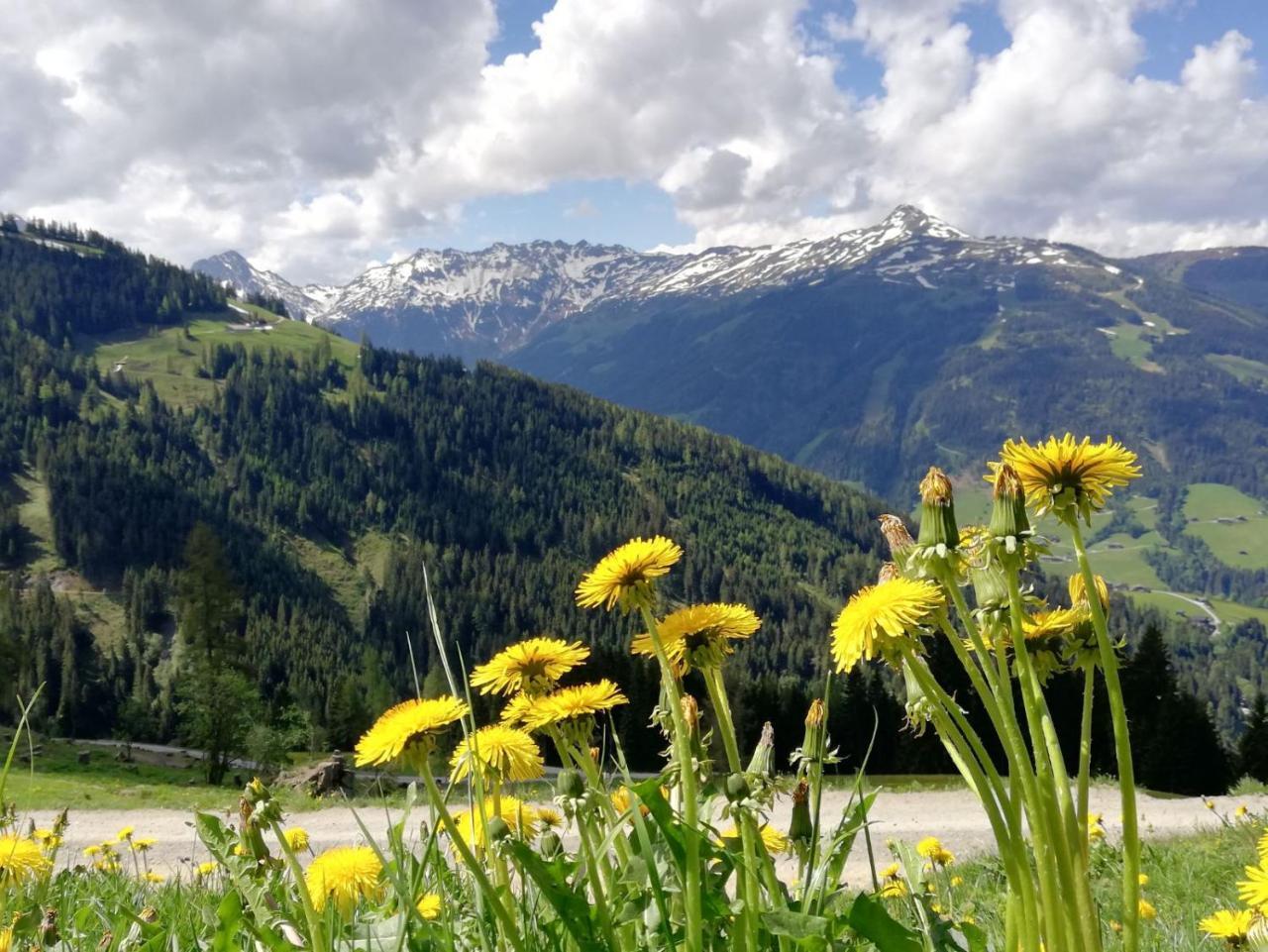 Pension Edelweiss Breitenbach am Inn Exteriér fotografie